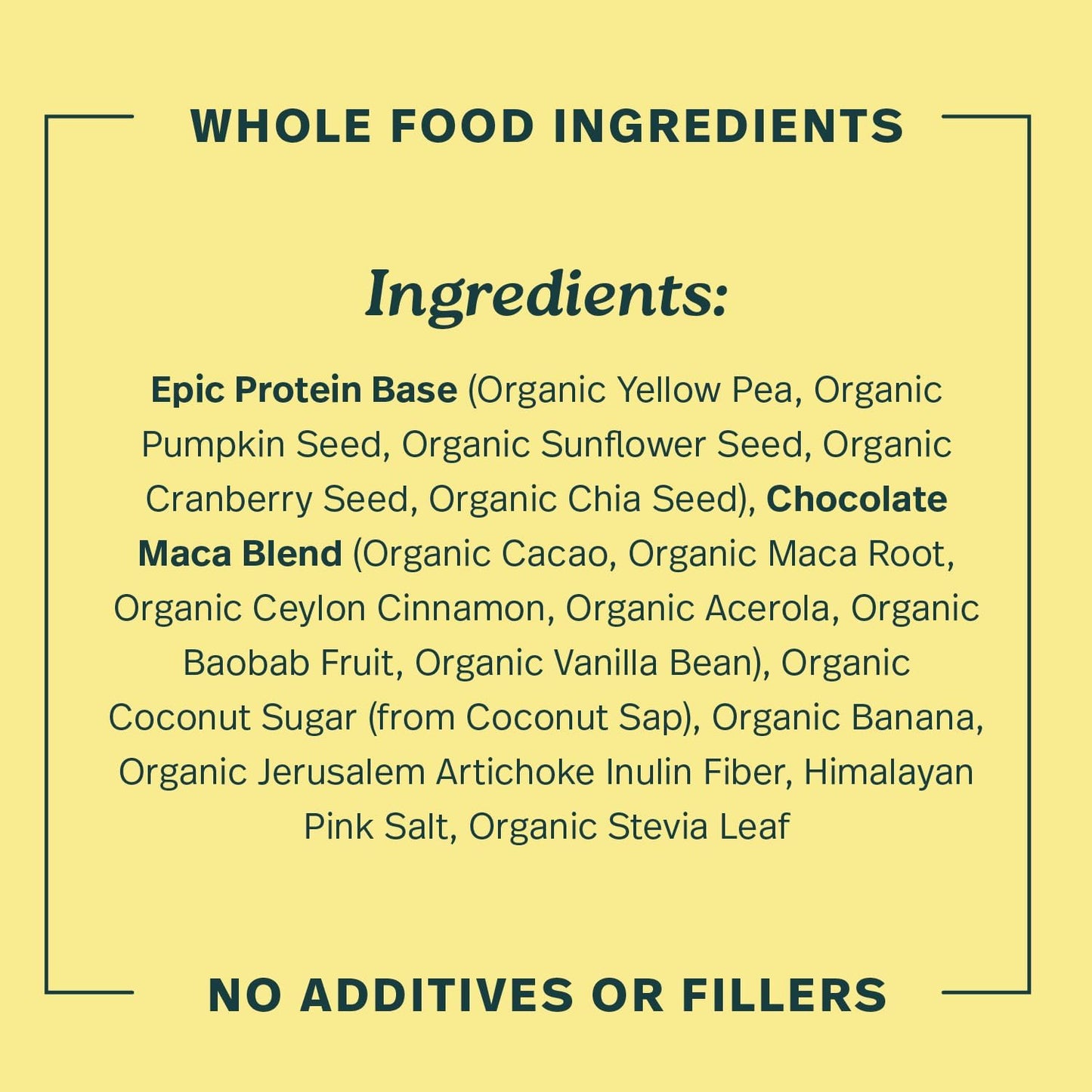 Sprout Living Epic Protein, Plant Based Protein & Superfoods Powder, Chocolate Maca Powder | 20 Grams Organic Protein Powder, Vegan, Non Dairy, Non-GMO, Gluten Free, Low Sugar (1 Pound, 12 Servings)